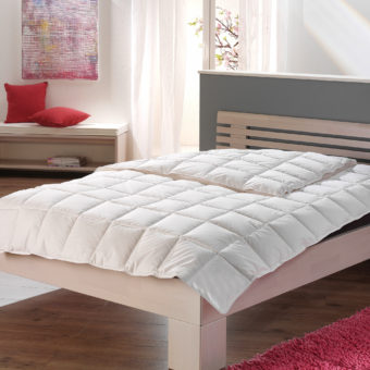 Sommer Daunendecke Comfort von Häussling