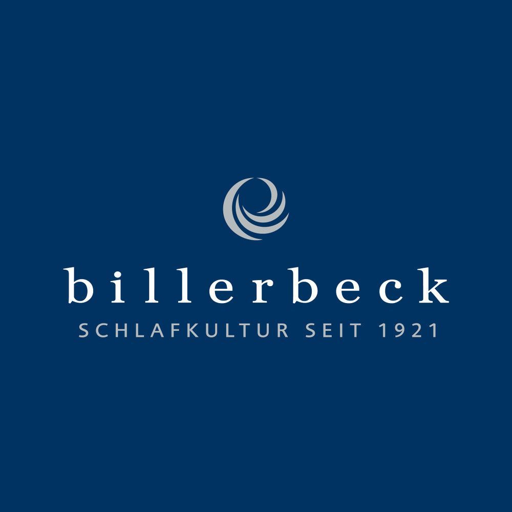 Seidendecke Billerbeck Sundream Superlight Sommerdecke mit 100 % Tussah-Seide